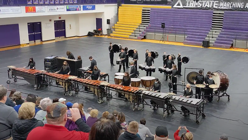 Beechwood percussion performers